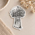 Red Cap Mushroom Vinyl Sticker – Original Botanical Art
