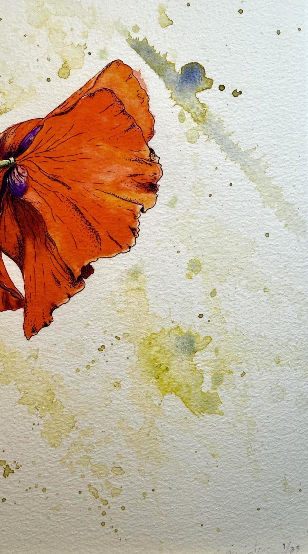 Red Poppy Limited Edition Giclée Print on William Turner Hahnemühle Paper