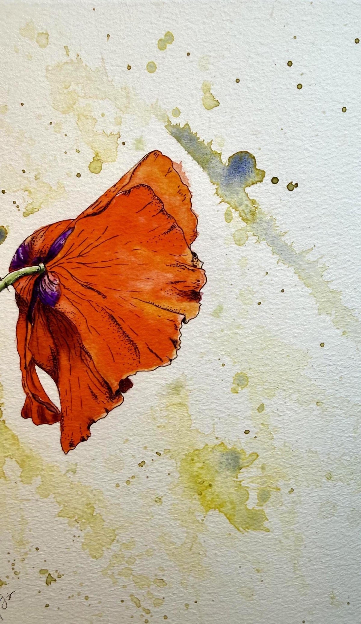 Red Poppy Limited Edition Giclée Print on William Turner Hahnemühle Paper
