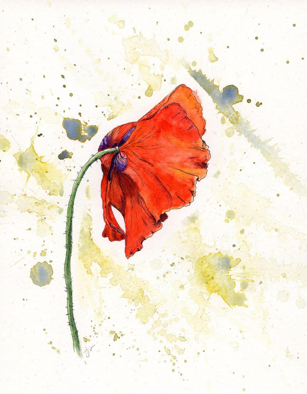 Red Poppy Limited Edition Giclée Print on William Turner Hahnemühle Paper