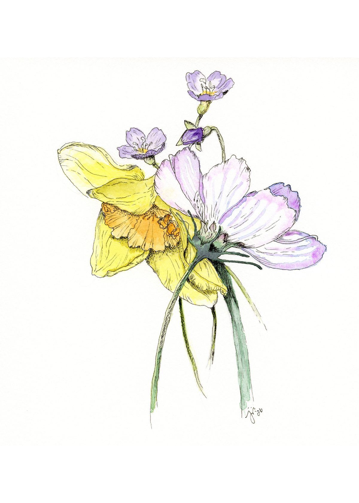 Giclée Floral Fine Art Print, "Spring/Summer